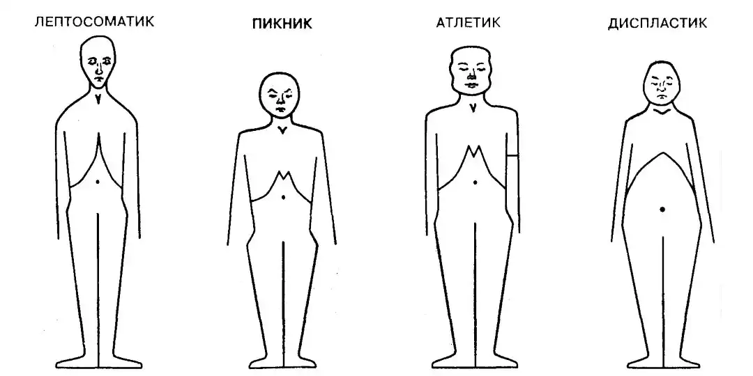 Как согласно типологии э кречмера называется тип строения тела человека на рисунке ниже